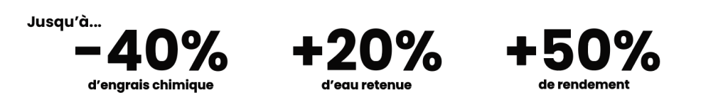 Mycorhizes - Les résultats MYCOPHYTO