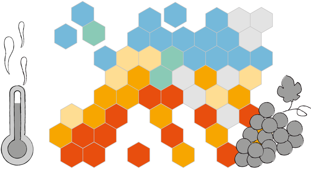 changement climatique et viticulture